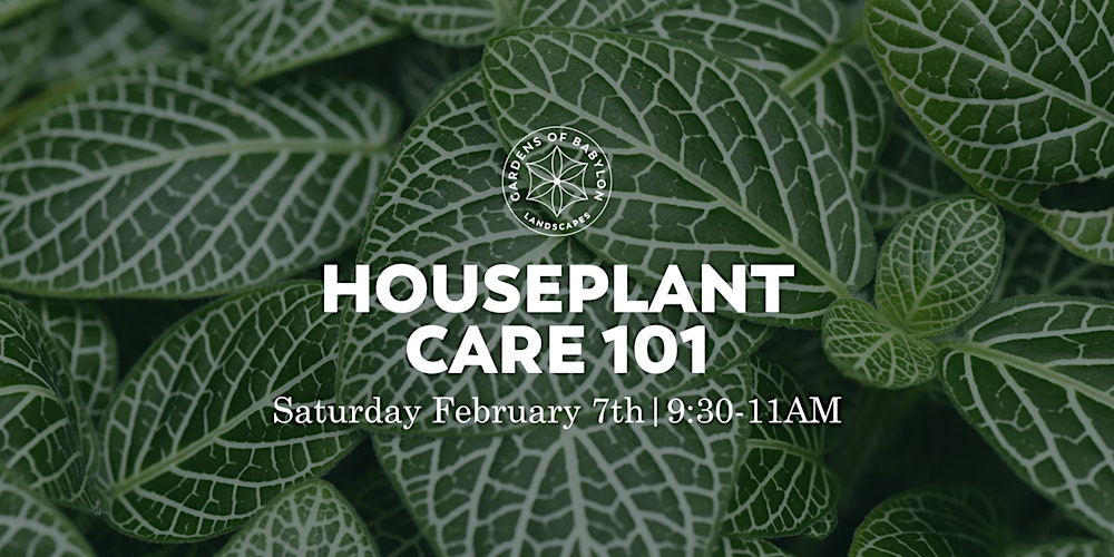 Master Houseplant Care Workshop to Build Indoor Gardening Skills