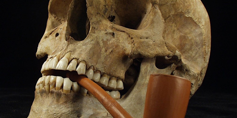 Montre-moi ton squelette et je te dirai qui tu es