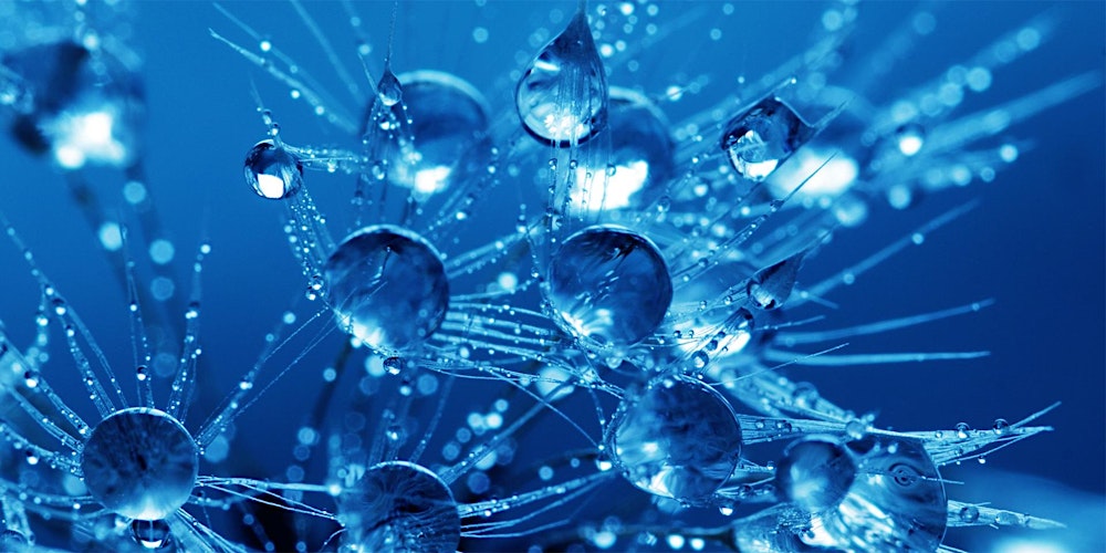 Training on liquidity and cash management