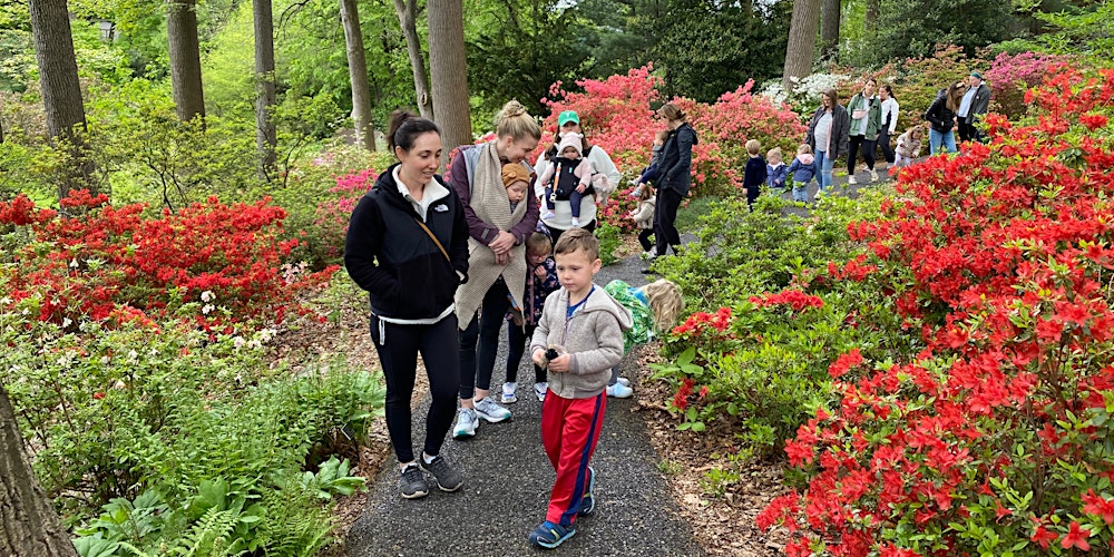 Jenkins Juniors - 10 AM (4/21 – 5/12)