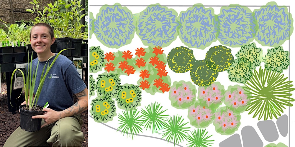 How to Select Plants