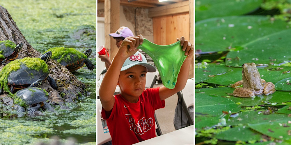 Understanding Herps with DIY Slime (Ages 4+)