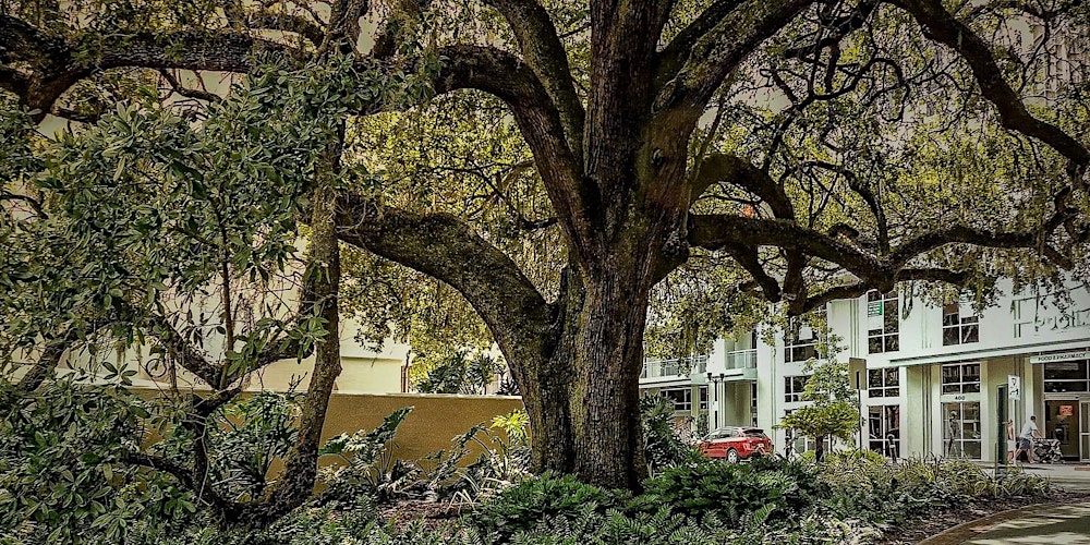 Master Your Camera Controls and Composition in the Field - Photo Workshops