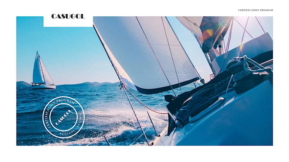 Certified Strategic Digital Transformation Leader