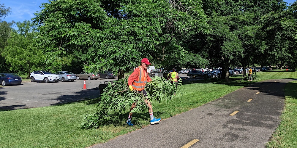 Vegetation removal near 14th street bridge