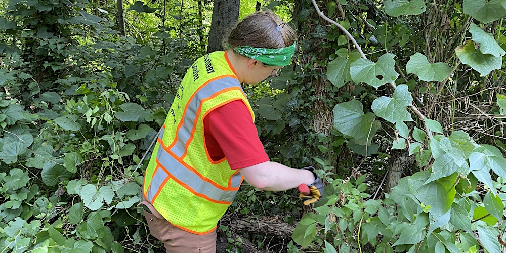 Vegetation Trimming near Fort Hunt Park