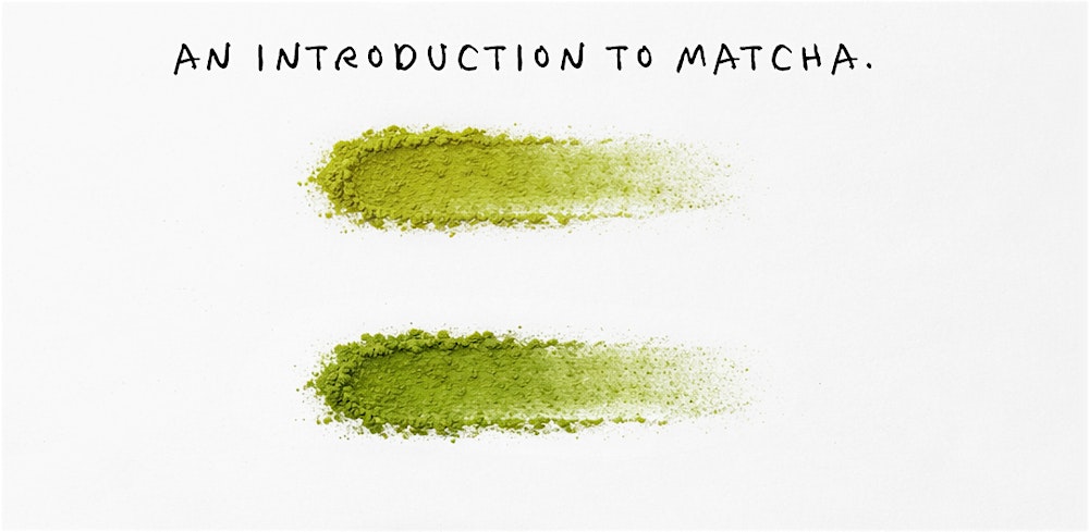 An introduction to matcha (with Sip Society & Mylai Matcha)