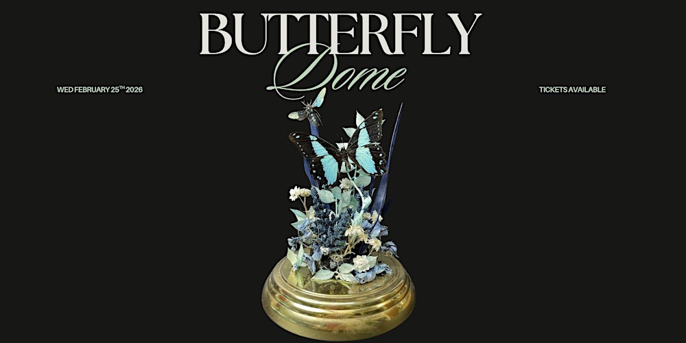 Crafting Butterfly Domes Workshop