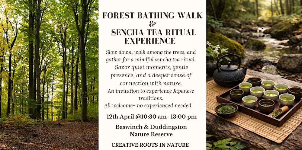 Forest Bathing Walk & Sencha Tea Ritual Experience