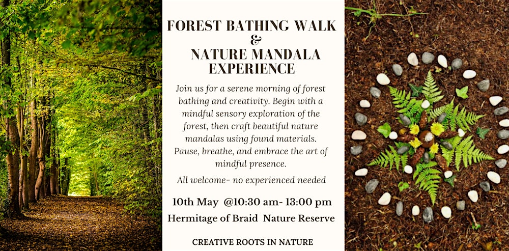 Forest Bathing Walk & Nature Mandala Experience