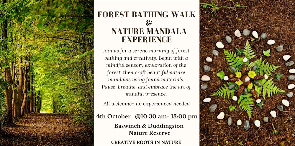 Forest Bathing Walk & Nature Mandala Experience