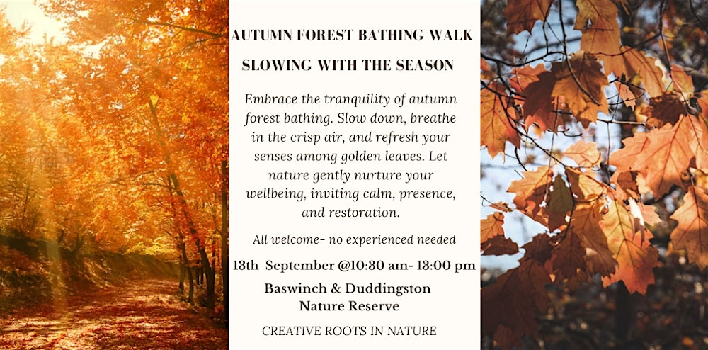 Autumn Forest Bathing Walk-Slowing with the Season