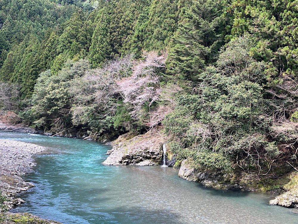 MEDITATION & MINDFULNESS FOR CREATING A MIND OF EASE, RELAXED CONCENTRATION