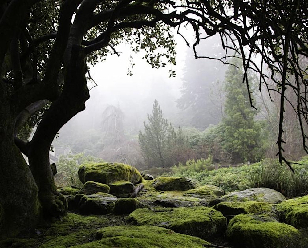 MEDITATION FOR QUIETENING THE MIND: GOING FROM OVER-WHELMED TO OVER-WELL