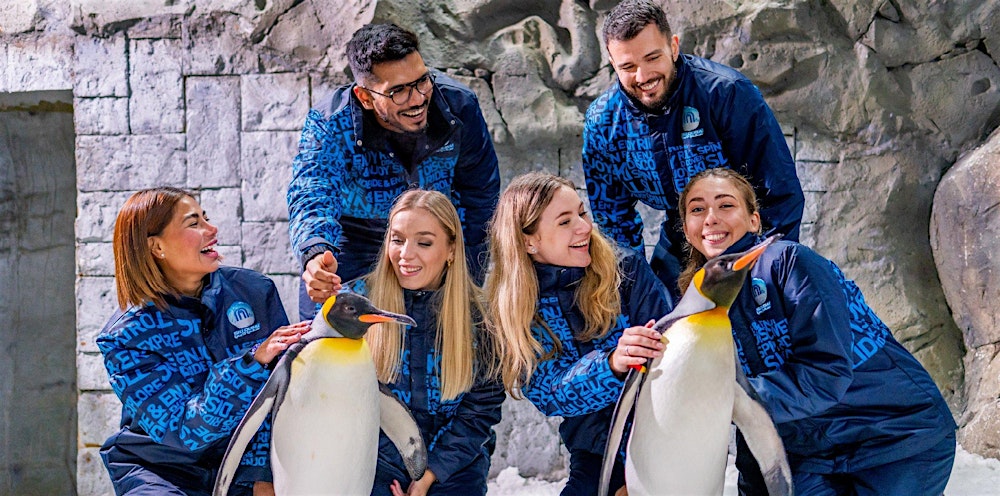 Dubai Snow Dome: Full Day Slope Pass For Skiing & Snowboarding! 28th Jan