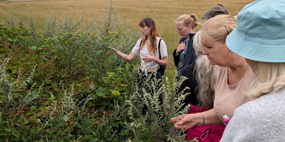 Foraging & Folklore Walk