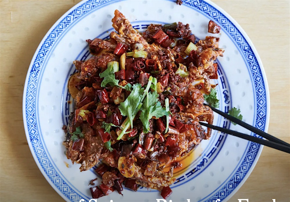 Exploring Bird Meats: Flight of Fancy