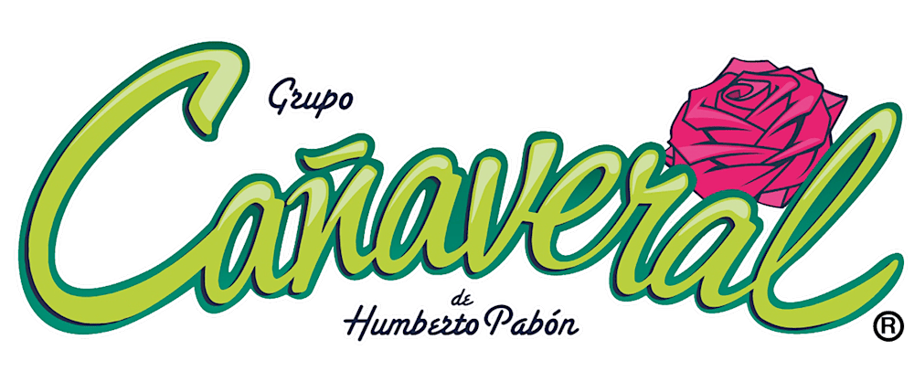 GRUPO CANAVERAL