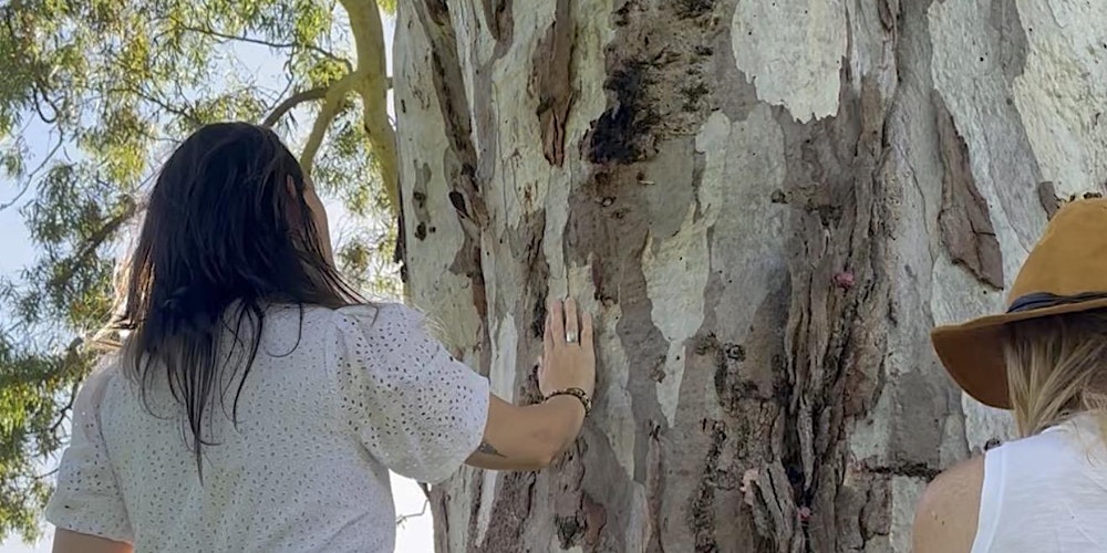 Tree Magic Workshop & Ceremony