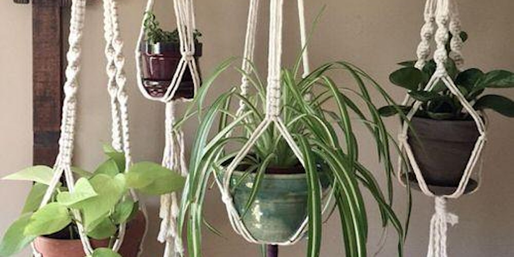 Macrame Plant Hanger Workshop