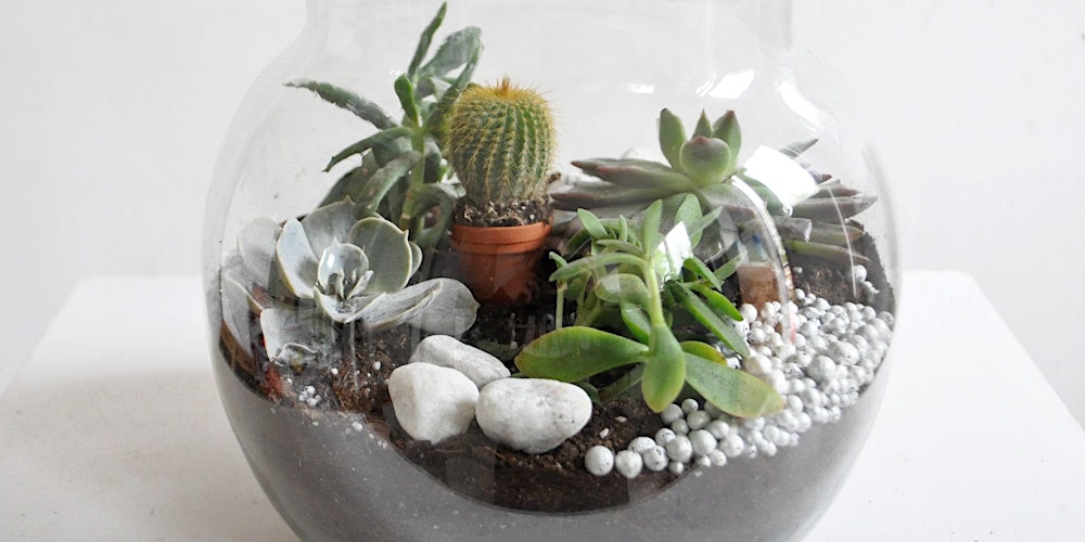 Terrarium Workshop