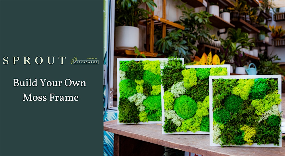 Moss Frame Workshop at Sprout!
