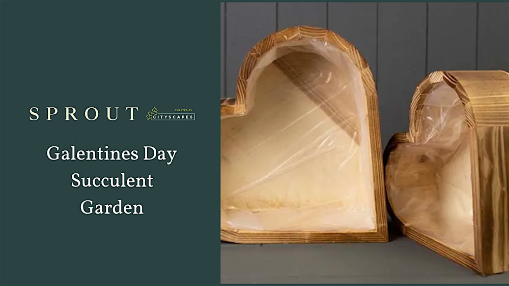 Galentines Day Succulent Garden Workshop at Sprout!