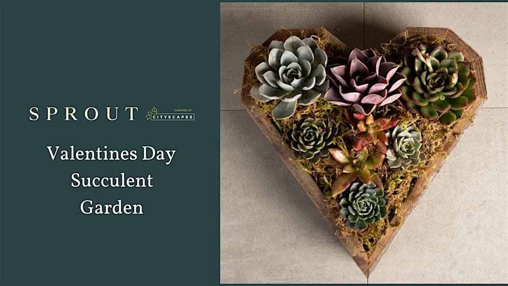 Valentines Day Succulent Garden Workshop at Sprout!