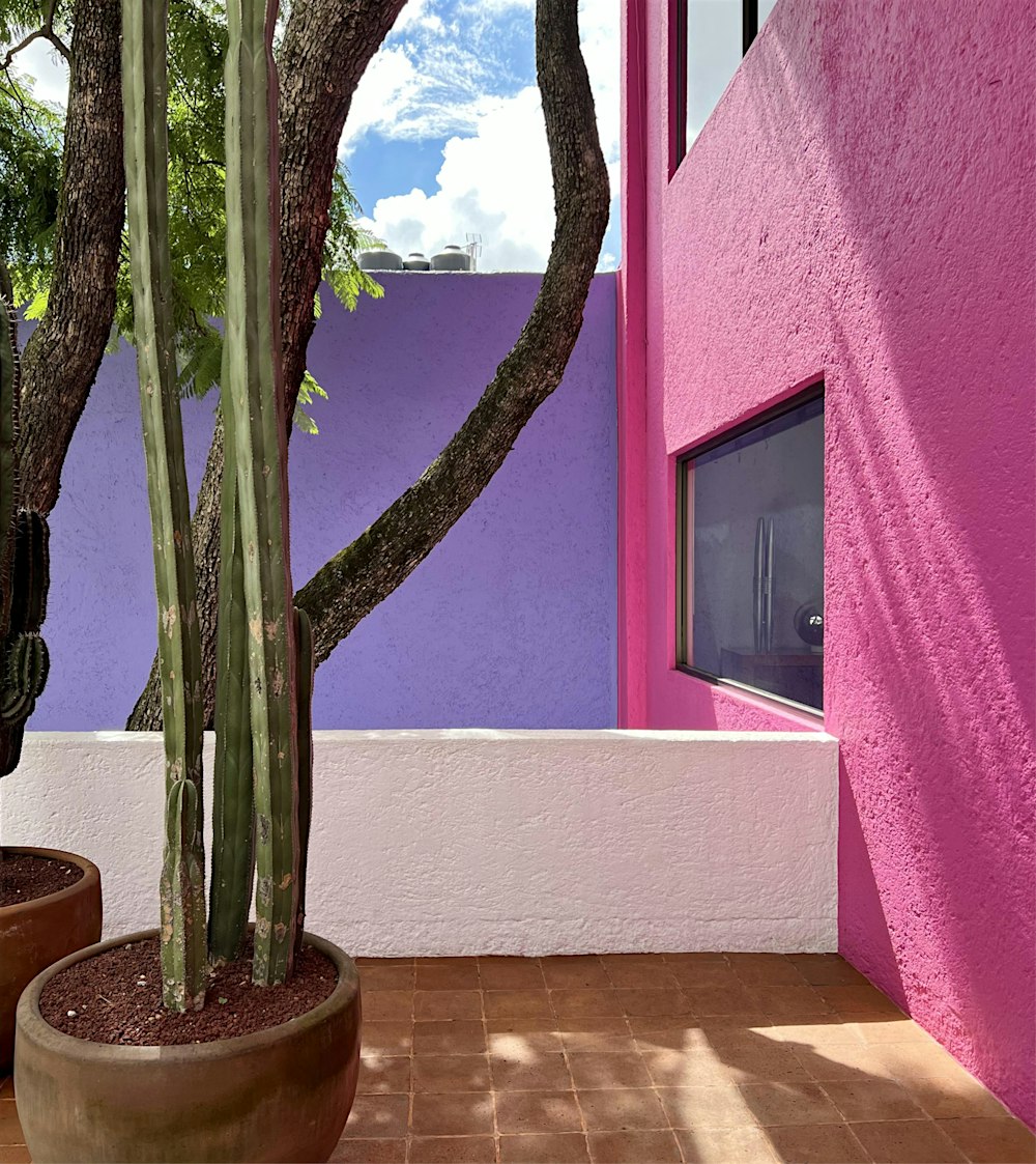 Color as Purposeful Design