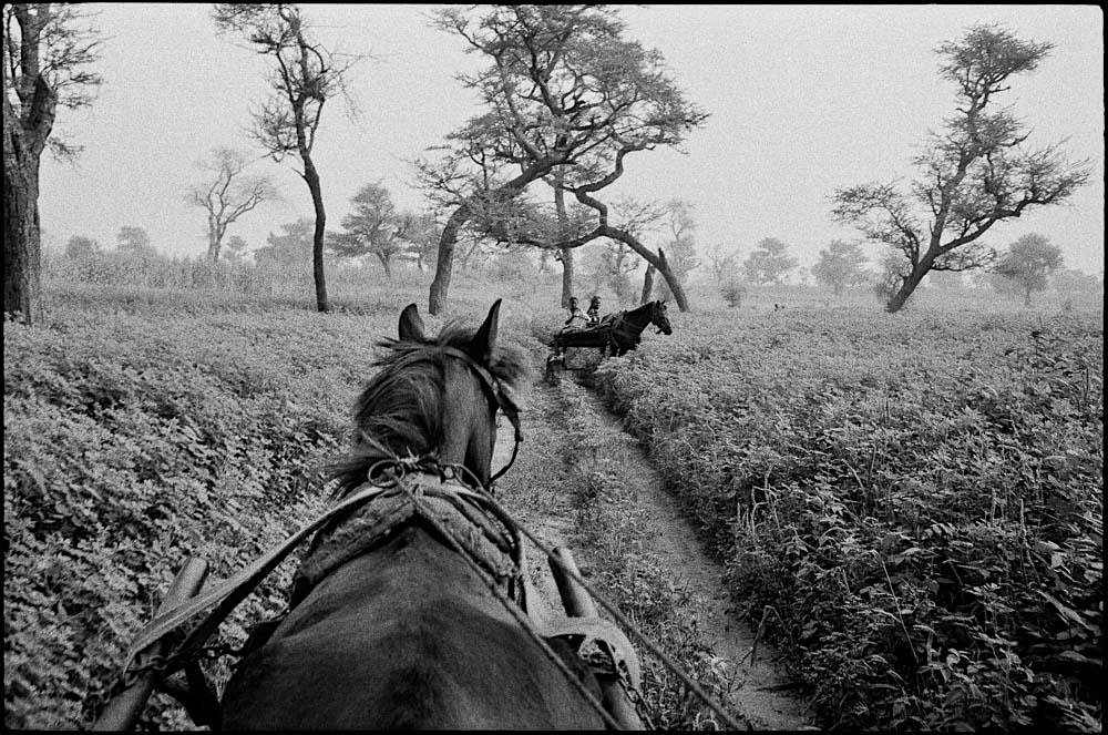 Distant Journeys: Photographs by David Katzenstein