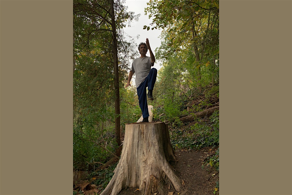 Principles of Tai Chi & Qigong for Everyday Life