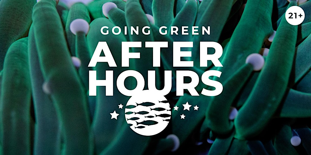 After Hours: Going Green