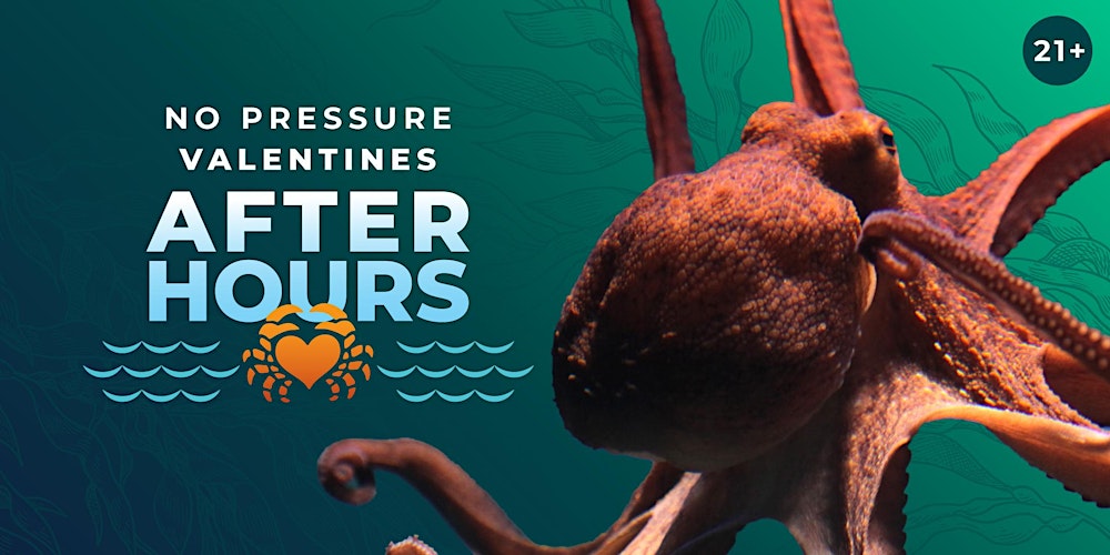 After Hours Premier: No Pressure Valentines