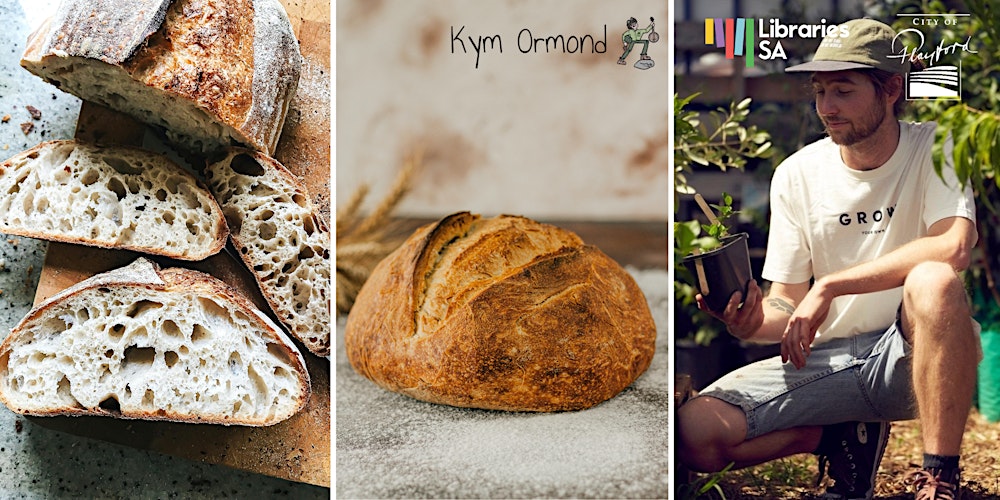 Sourdough 101: From Starter to Loaf