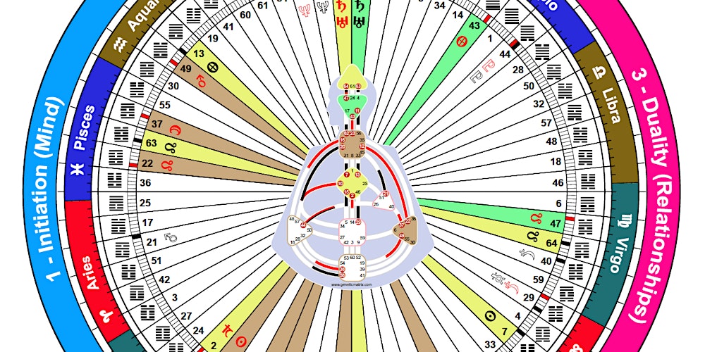 Human Design Digestion: Begin with Embodiment (1/3 Part Series)