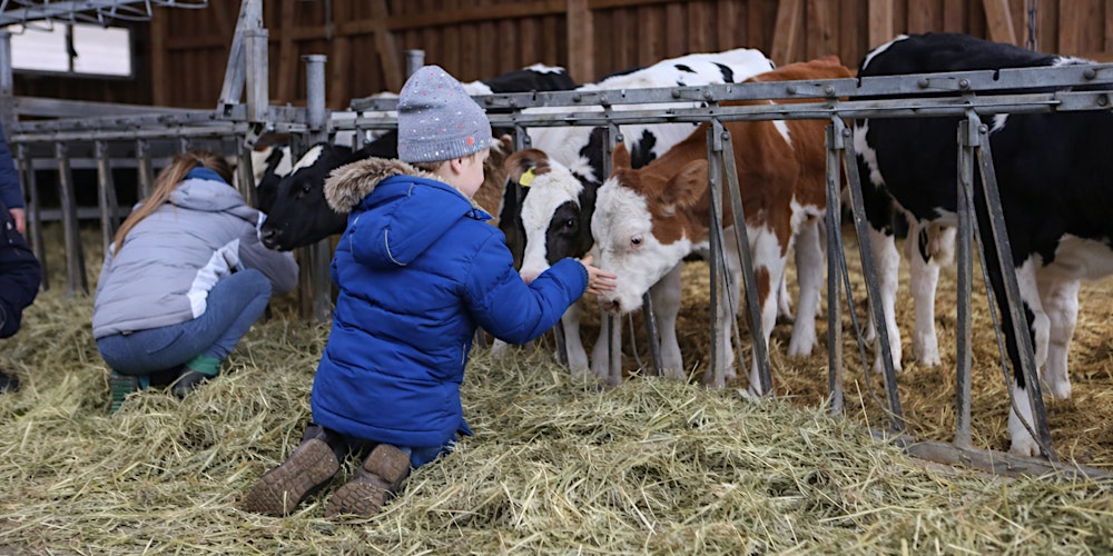 Comuneo Familien-Führung auf dem Bio-Bauernhof in Dresden