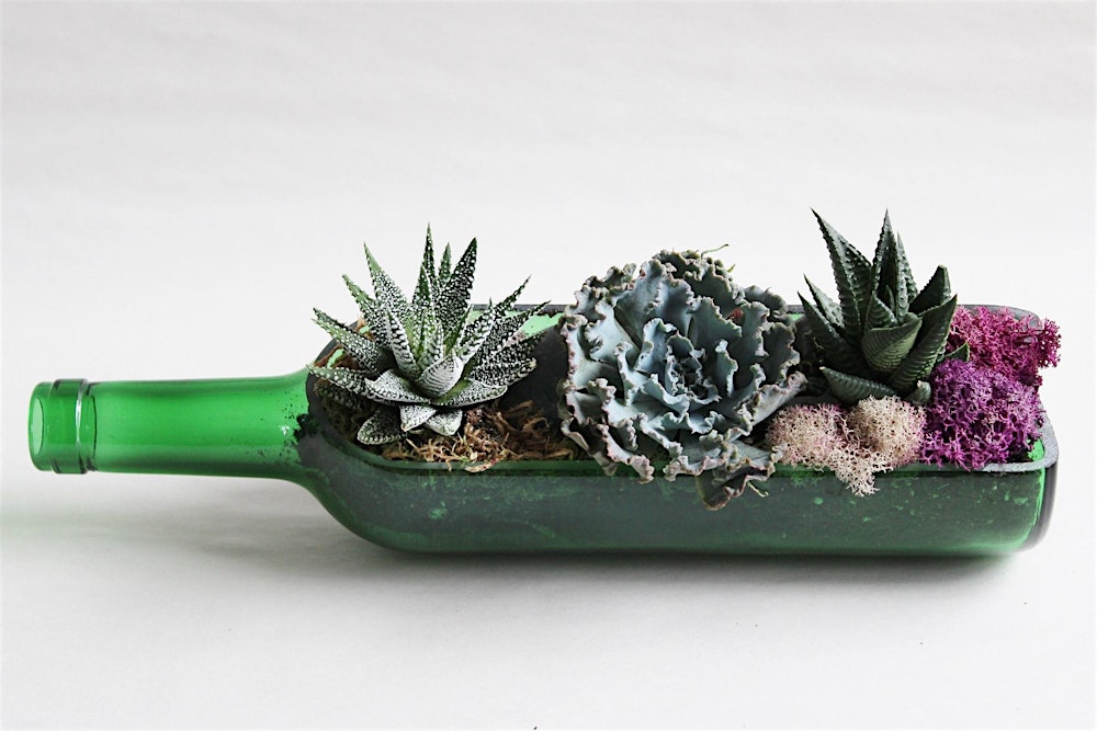 Succulent Planting Workshop