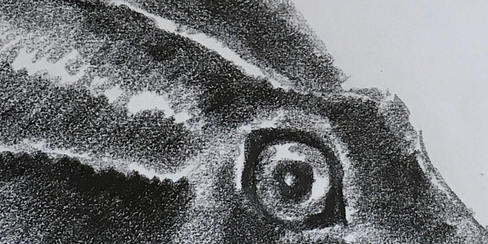 Wellbeing Wednesday, Spring Into Action!