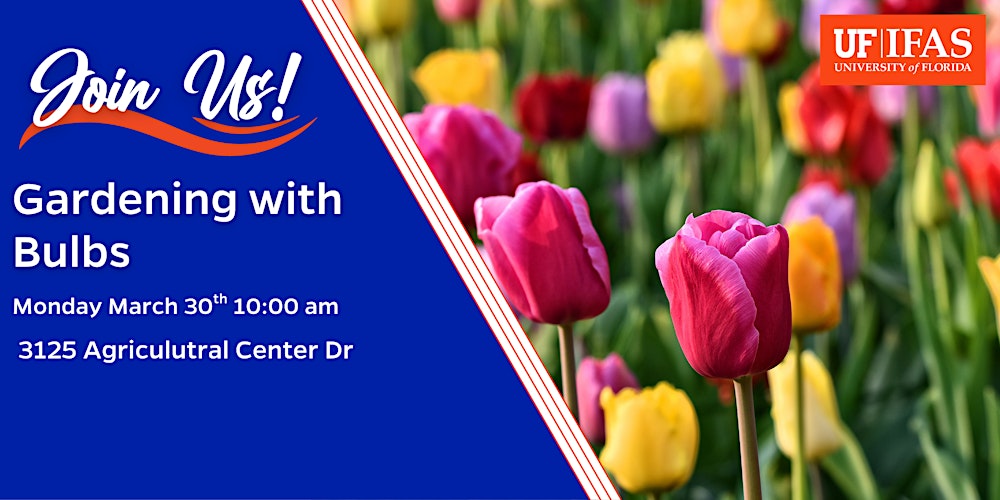 Gardening with Bulbs