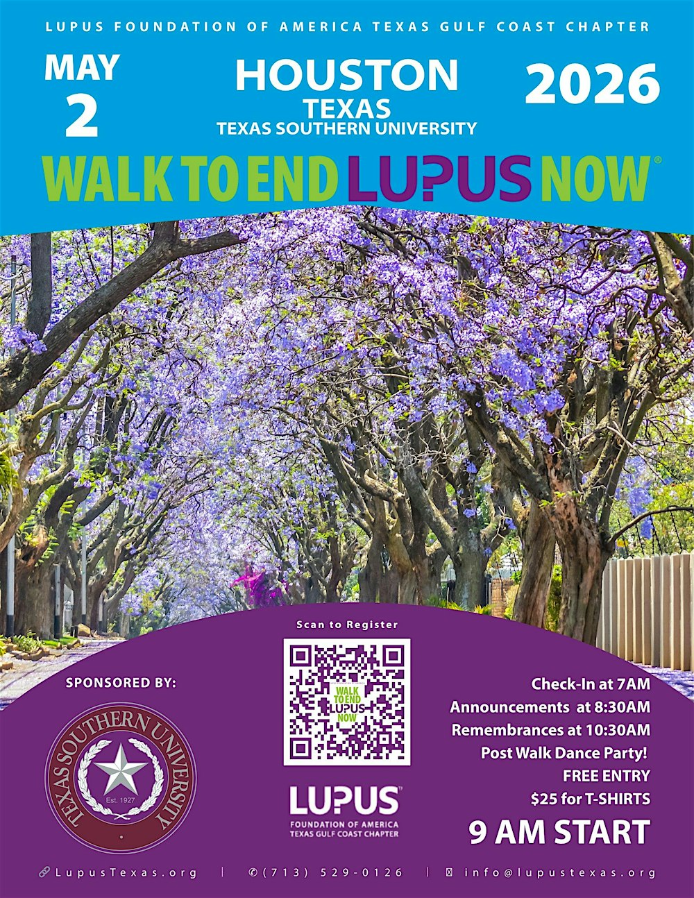 Walk to End Lupus NOW!  Houston Edition!