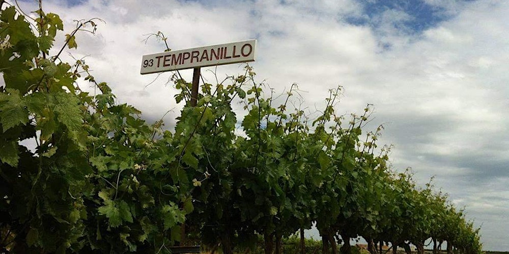 Tempranillo Wine Tasting: Varietal Focus Masterclass