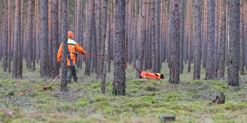 Nachsuchen in Zeiten von moderner Technik - Tradition oder Notwendigkeit?