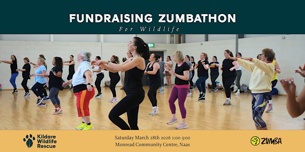 Zumbathon for Wildlife