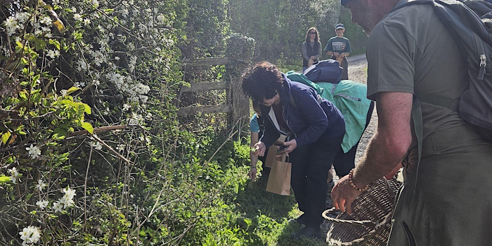 Spring Wild Food Forage Course At Horwood Farm, Wickwar with Steve England