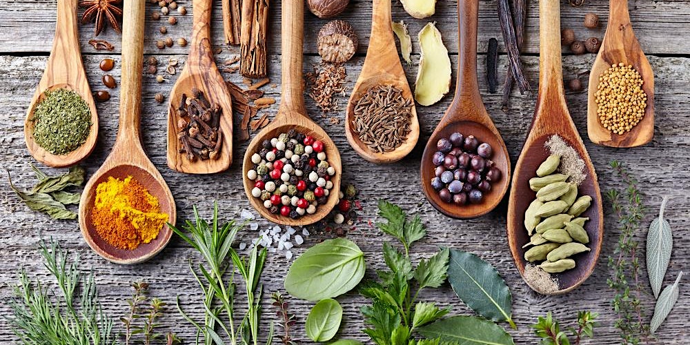 Herbalism Workshop: Winter