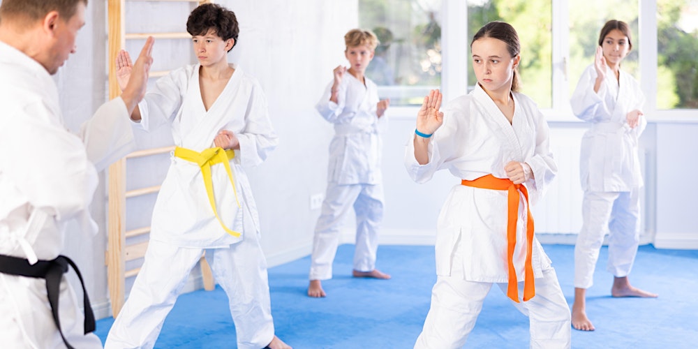 Inscription 3 Mois - Sogobudo: Ados 1 (8 à 10 ans) Ados 2 (11 ans & plus)
