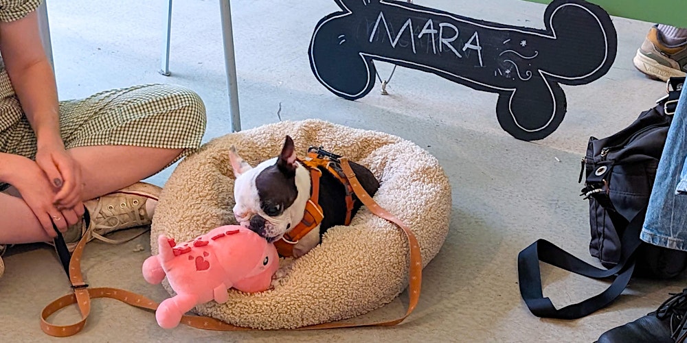 Dog Life Drawing at The Full Moon Attic Bar, Bristol - Spring season