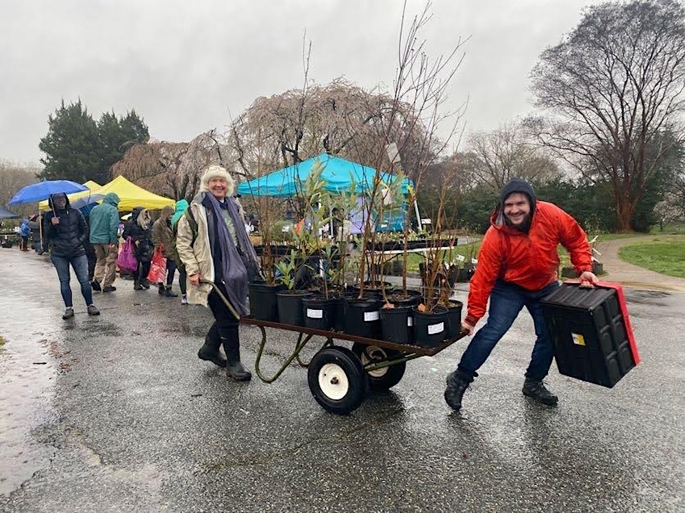 FONA Native Plant Sale