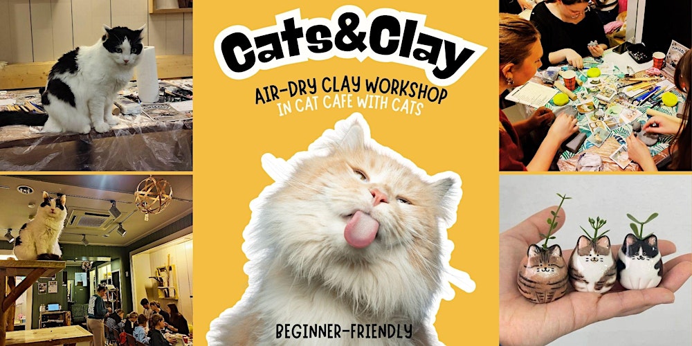 Cats&Clay - clay workshop in cat cafe with cats - Leiden