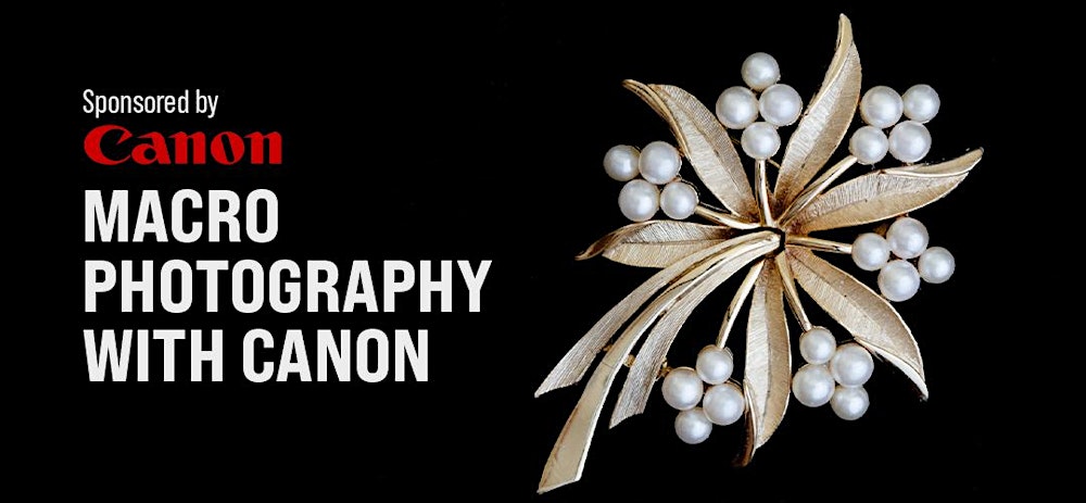 Macro Photography with Canon- Pasadena